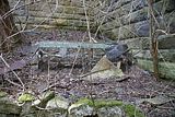heilanstalt milbitz_175